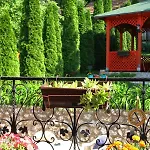 Downtown Oasis Sarajevo