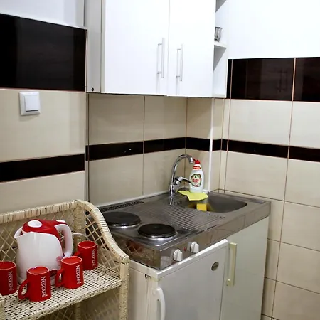 Downtown Oasis Apartment