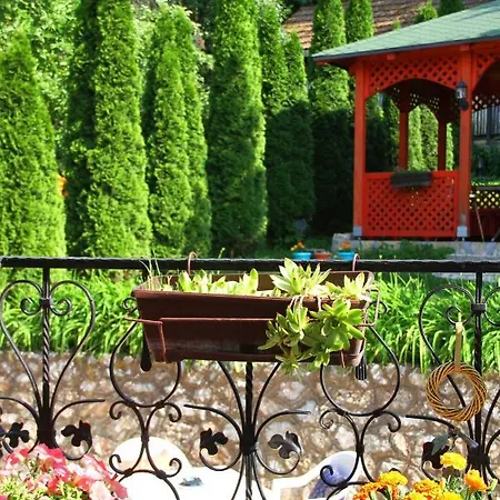 Downtown Oasis 사라예보