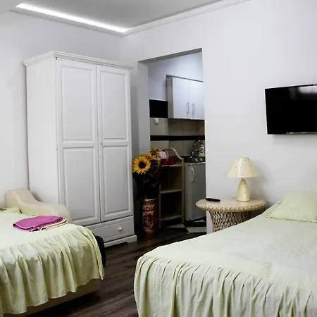 Downtown Oasis Appartement