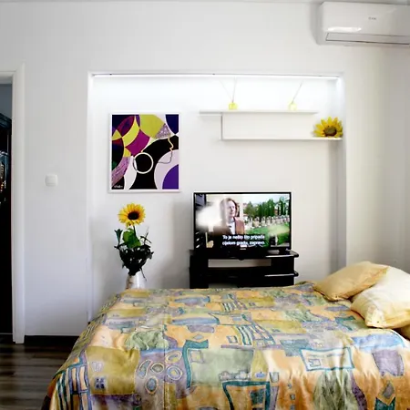 Appartement Downtown Oasis *