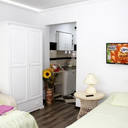 Downtown Oasis Apartment