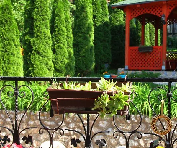 Downtown Oasis سراييفو